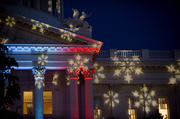 Capitol Christmas Tree Lighting Ceremony