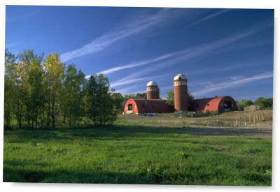 farm scene