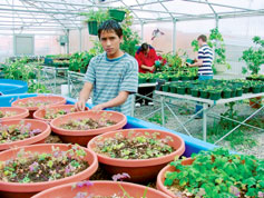 student ag ed greenhouse