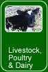 Livestock, Poultry and Dairy