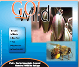 Thumbnail Image of Go Wild publication on pollinators