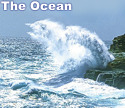 The Ocean