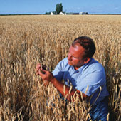 2005 Farm Income Forecast