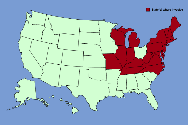 Distribution map of Celastrus orbiculatus