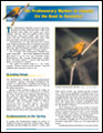 The Prothonotary Warbler in Canada: On the Road to Recovery?