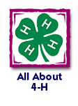 All About 4-H
