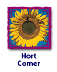 Hort Corner
