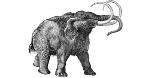 wolly mammoth