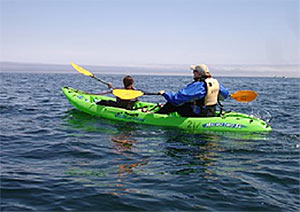 Kayakers on water