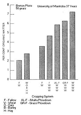 Figure 2. Effect of rotation on soil organic matter