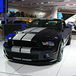 [Ford GT500 Car Cast]