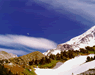 Mt. Hood and wave cloud