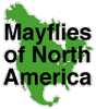 The Mayflies of North America  |  