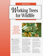 Working Trees For Wildlife