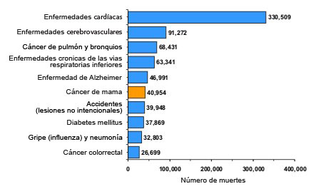 Las 10 causas principales de muerte en mujeres de Estados Unidos. 1 Enfermedades cardíacas, 330,509. 2 Enfermedades cerebrovasculares, 91,272. 3 Cáncer de pulmón y bronquios, 68,431. 4 Enfermedades crónicas de las vías respiratorias inferiores, 63,341. 5 Enfermedad de Alzheimer, 46,991. 6 Cáncer de mama, 40,954. 7 Accidentes (lesiones no intencionales), 39,948. 8 Diabetes mellitus, 37,869. 9 Gripe (influenza) y neumonía, 32,803. 10 Cáncer colorrectal, 26,699.