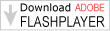 Flash Download