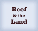 Beef & the Land