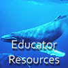 Educator Resources