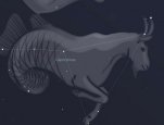 Constellation art detail: capricornus.