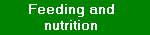 Feeding and Nutrition