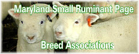 Breed Associations