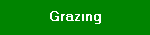 Grazing Links