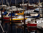 Photo of a boating marina