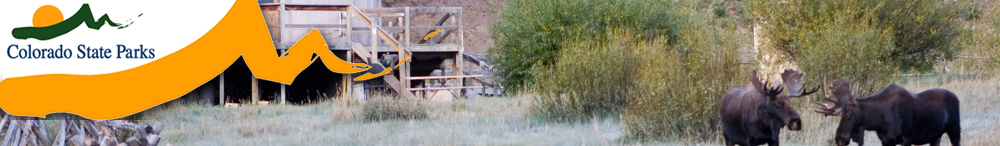 Moose at State Forest State Park