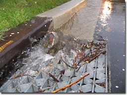 Stormwater rushes into a storm drain on the side of a road