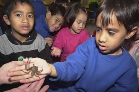 Pupils at New Lynn Primary School, West Auckland