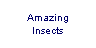 Text Box: Amazing 
Insects
