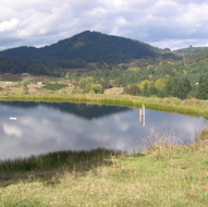 pond that supplies water to turbines