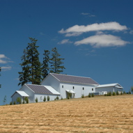 solar panels at Stoller winery