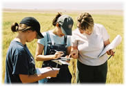 Students identifying weed seeds found in a wheat field