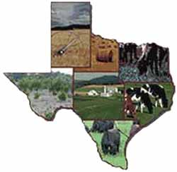 Texas image map
