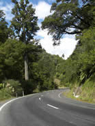 Te Urewera Road