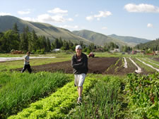 Youth Harvest and UM students working on the PEAS Farm.