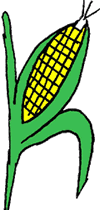 maize