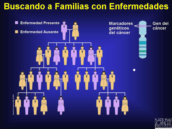 Buscando a Familias con Enfermedades