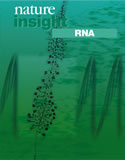 RNA