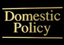 Domestic Policy