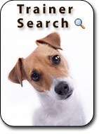 dog trainer search for dog training