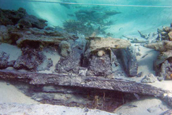 View of the Trouvadore’s keel, garboard and frames from starboard side.