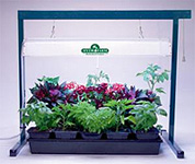 indoor grow lights