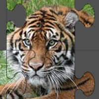  Picture Puzzle image