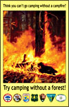 Think you can't go camping without a campfire? Try camping without a forest!