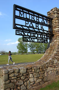 Photo of long curving bridge