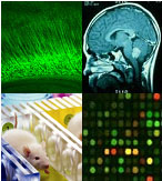 series of array and genomic imagery