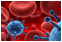 3d rendering of blood cells and virus