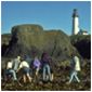 Tide Pools at Yaquina Head